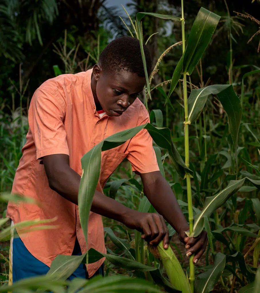 Revolutionising African Agribusiness: The Digital Path to Global Dominance
